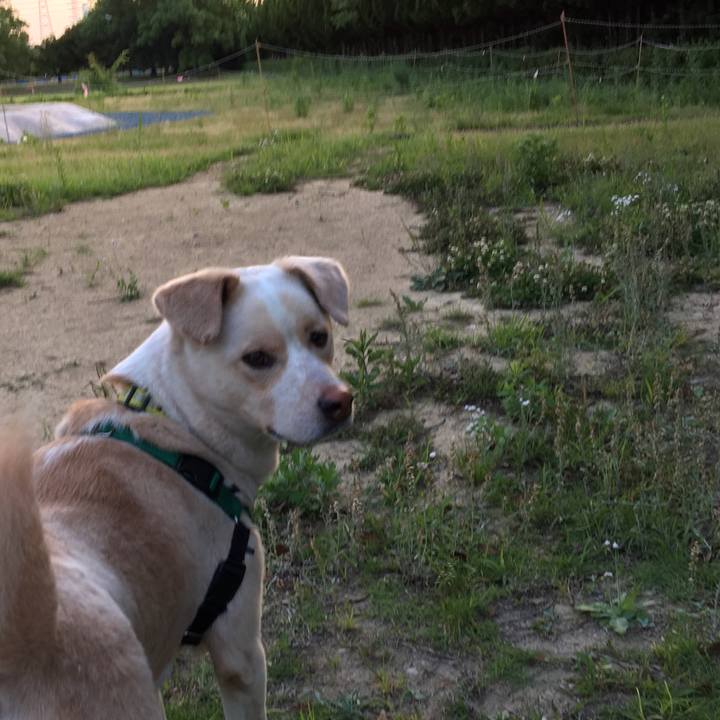 2de70d60 ab3b 4879 aa87 e521092d0512