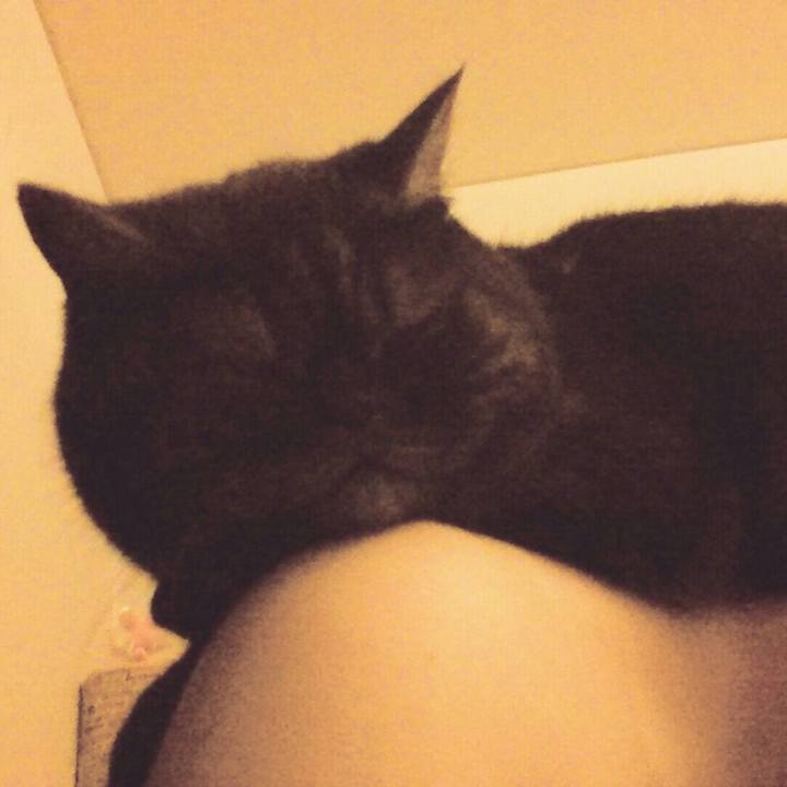 2de7cc6d 0853 4aaf aefa f3ff251058f2