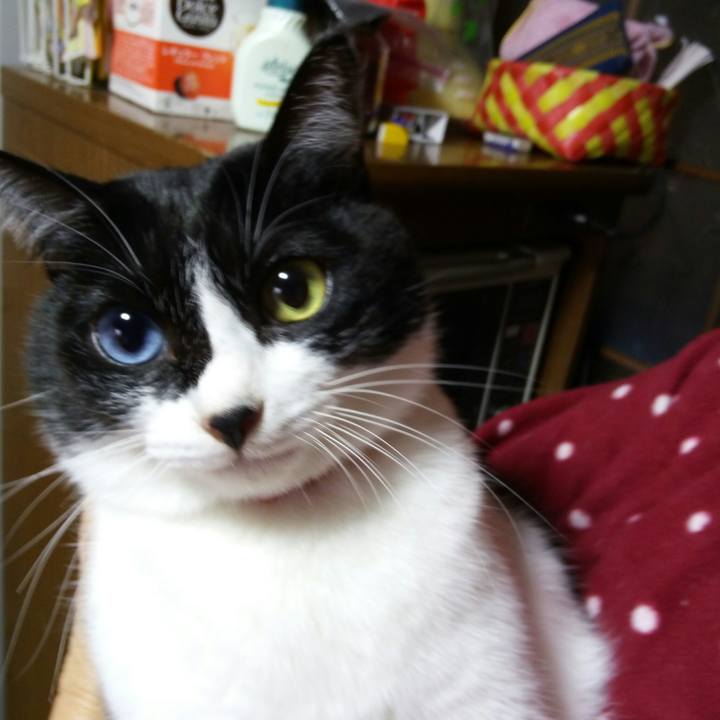 2de7d574 1d08 4040 b799 1ab67fcaeac8