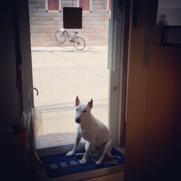 2de812ff 2dc7 4a8f a740 ff007378a98d