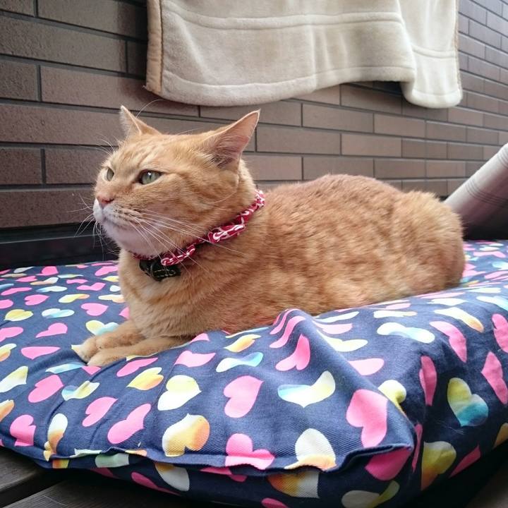 2de9c3a7 7812 4ce0 bdd5 aa1e44f17454