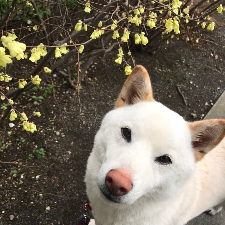 2deab782 d186 4483 b0f1 41d99cfa5d92