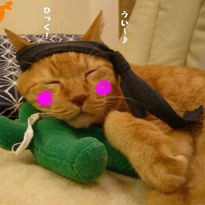 2deb8ef9 11a1 4402 9ceb e127109d9685