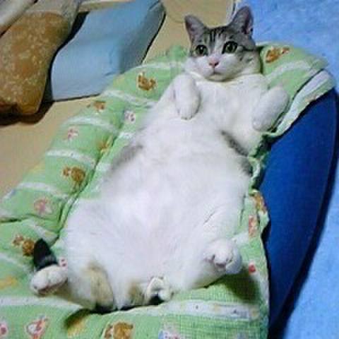 2debb2ed 2fc0 4eb1 b322 5ff1419a020c