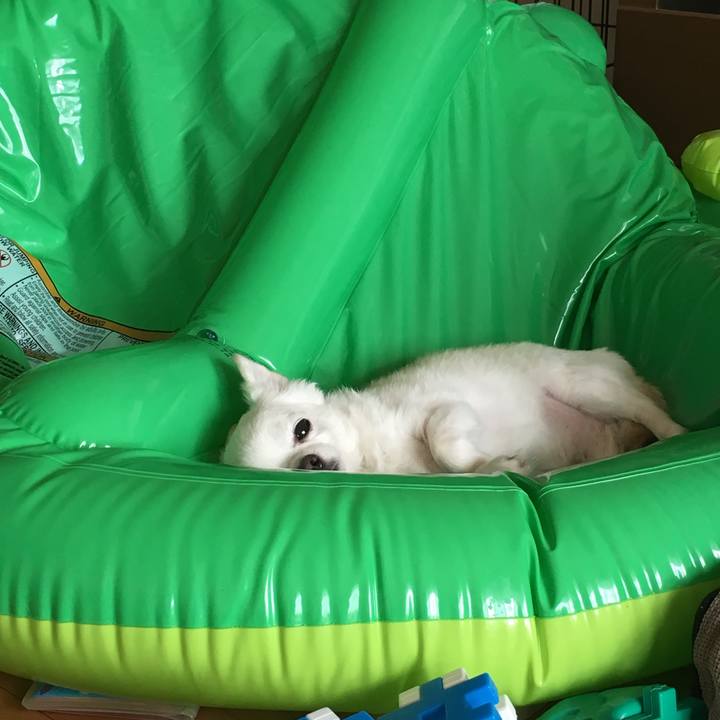 2dec67b7 21f3 4486 9284 22c3ea3f8b6c