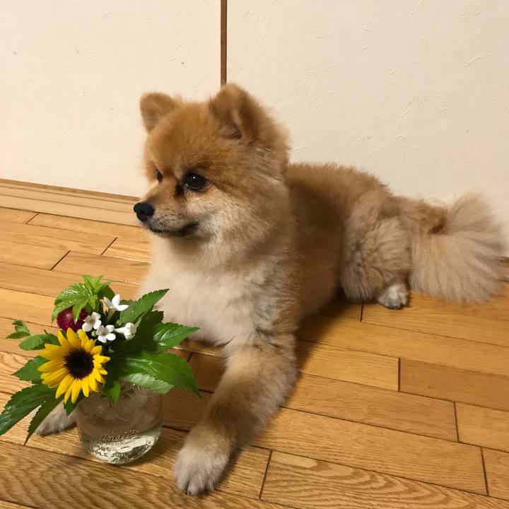 2dec915f 53c7 478c bd37 c9d8d4847177