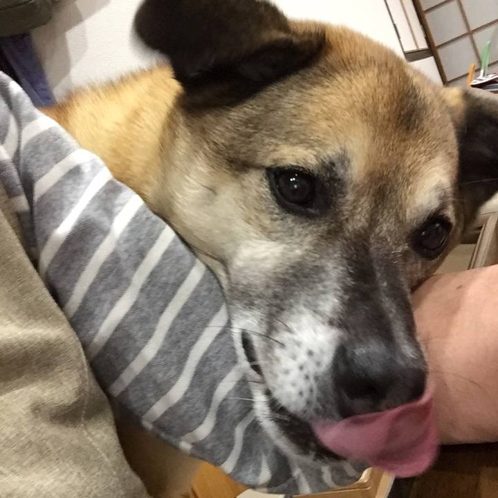 2ded0b03 47eb 4738 8070 35604a38fe56