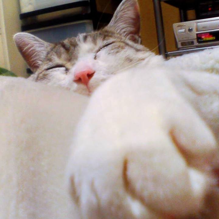 2ded72be 4026 4240 990d 7c242c535313