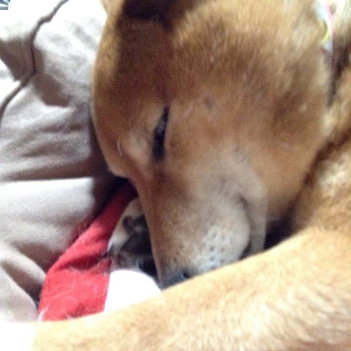 2dedd5df cc34 4019 81a7 82ddefa07afa