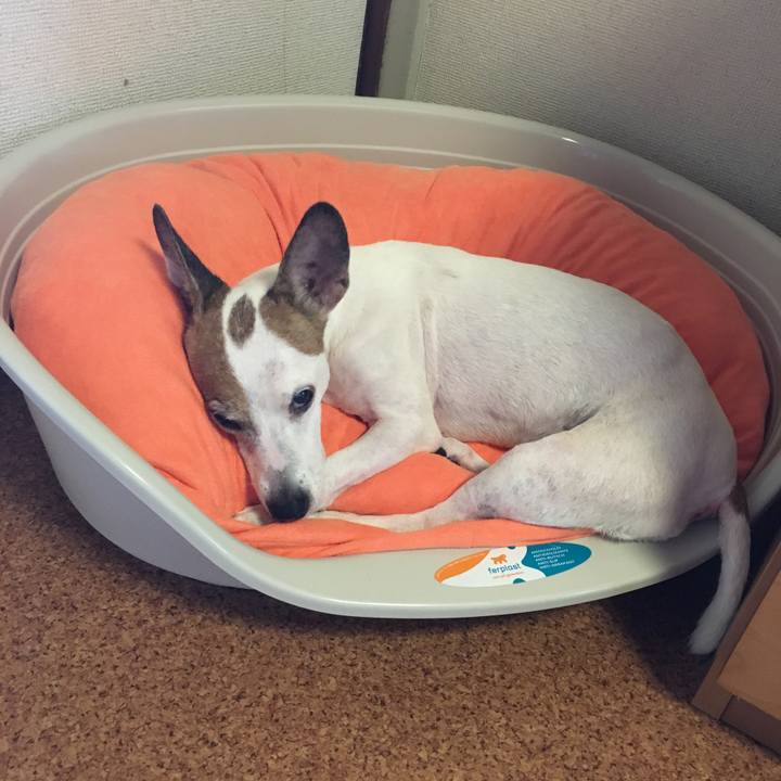 2dee2527 0646 4ae6 8877 2d3f514df34f