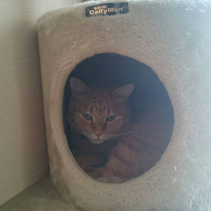 2def122c 2c9b 44fb b200 ec74598980f0