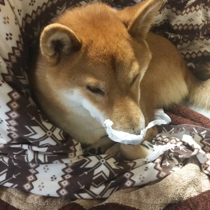 2def4d93 57d0 4c9c 8f71 8eae69f68ede