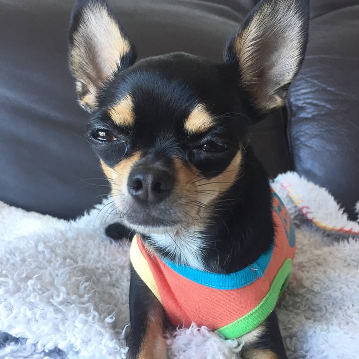 2defef9d 4707 44f5 a81e d8682ffff1e1