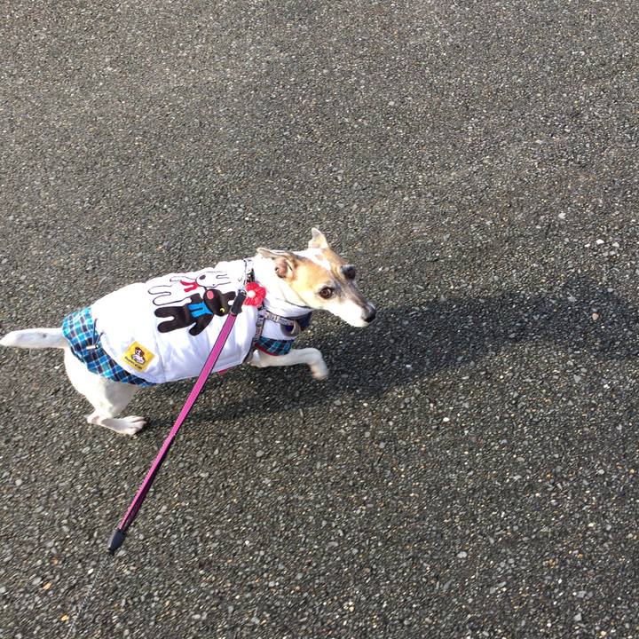 2df03590 5fae 4a79 b218 f91b24e20abd