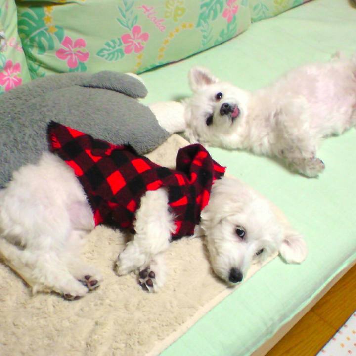 2df15caf ef5a 4cb9 ab25 7e6f6e1de03a