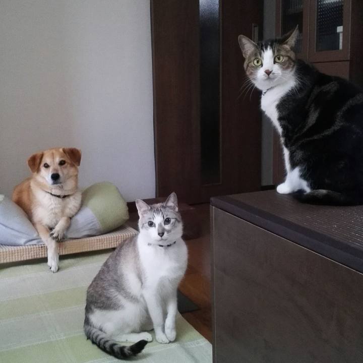 2df24837 86f5 4c6d a1af c1096b01bc44