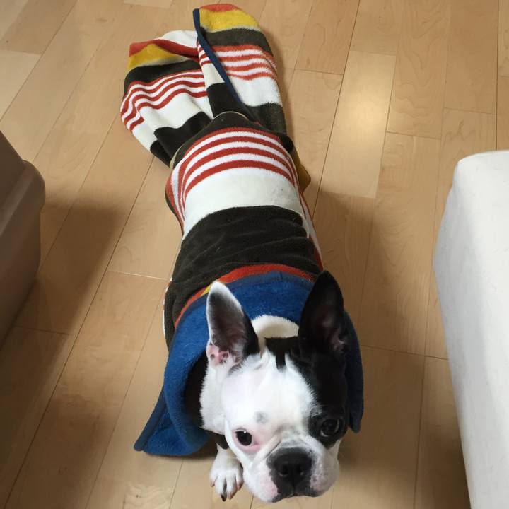 2df2525e 4a11 46da 8ee9 551884591fcf