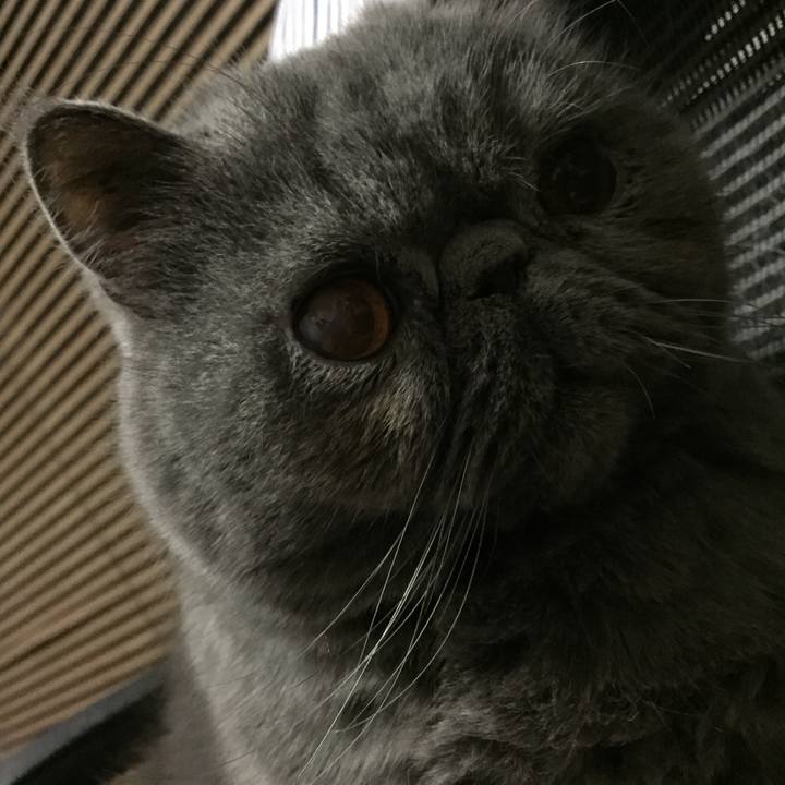 2df339a7 c466 4294 8c04 d2848d10f7e4