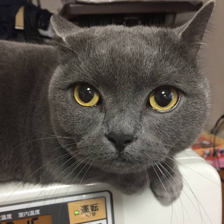 2df341a2 bebd 44f9 80bb 4d831d6b20b7