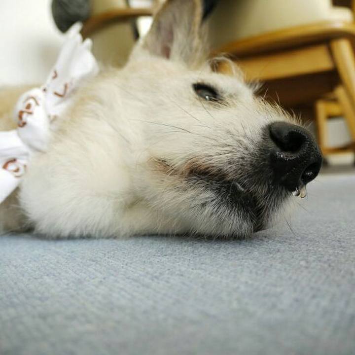 2df3aeee 9ed7 4476 afb8 c678c38f1931