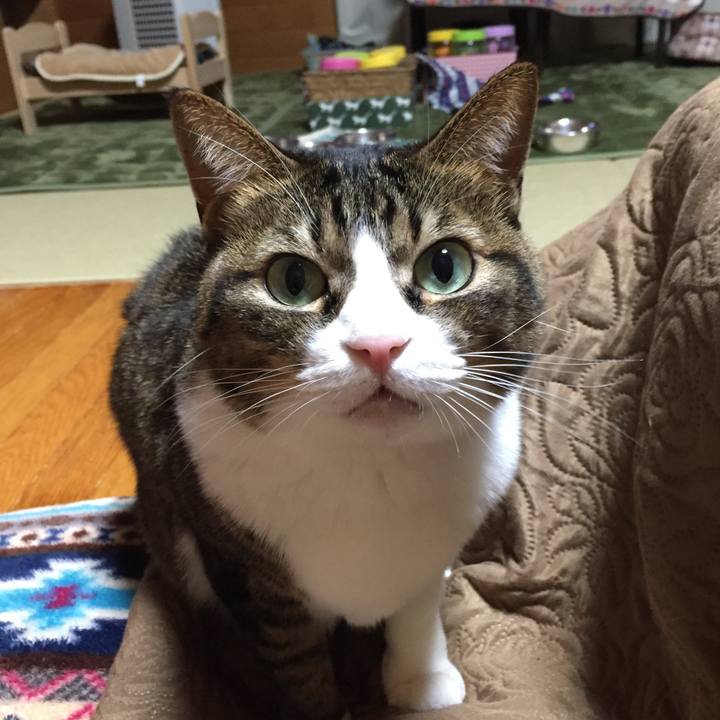 2df3baee 5dc9 447a 8a4a a86d22b02239