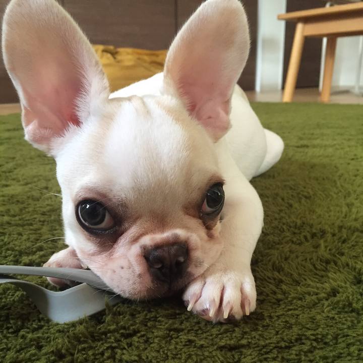 2df3e7bb 35f5 4f67 b163 f2621a6ddc8c