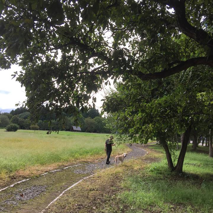 2df4368a 7f49 4b91 98ce 4e57a6cbcece