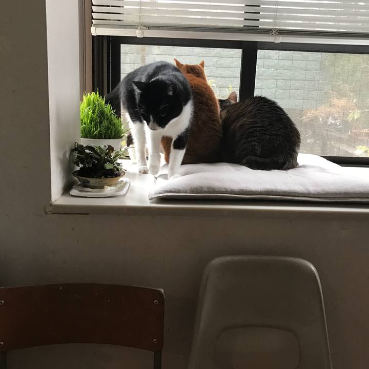 2df47753 e2a8 4c73 82e0 8ff72a746a7c