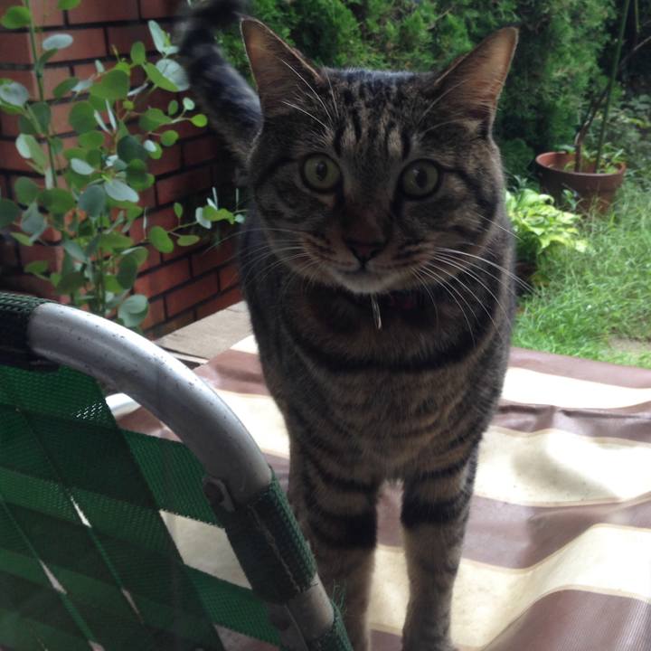 2df497ed 7c57 477e b24b aea0c7144f13