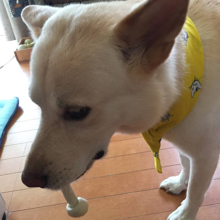 2df4c0cc 8356 4c32 9d30 8312a247c9fa