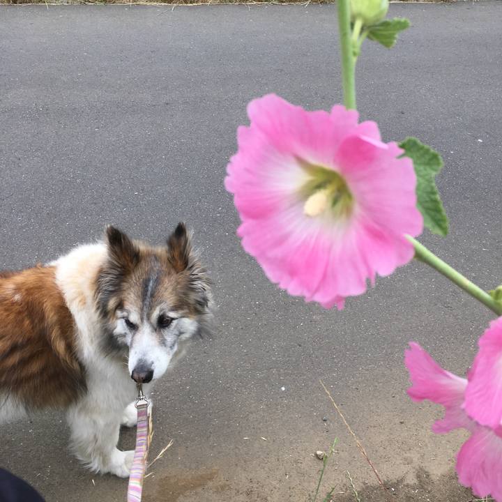 2df6e309 eb5e 44e9 be16 3ef2d59a79ab