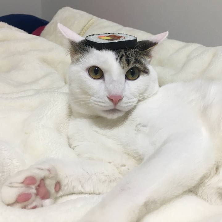 2df7055b d746 4c15 9898 4e6fa8fef55e