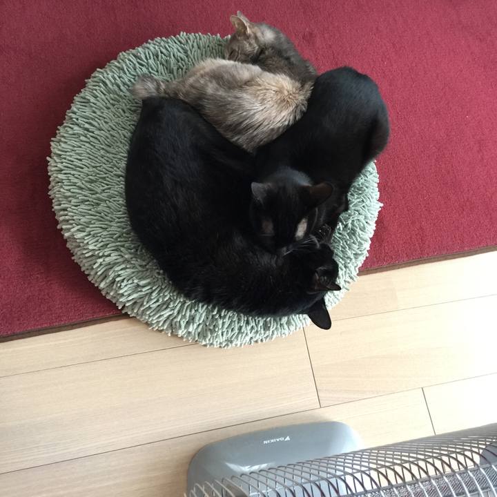 2df77431 ef00 4361 96eb 0f23c27b6a33