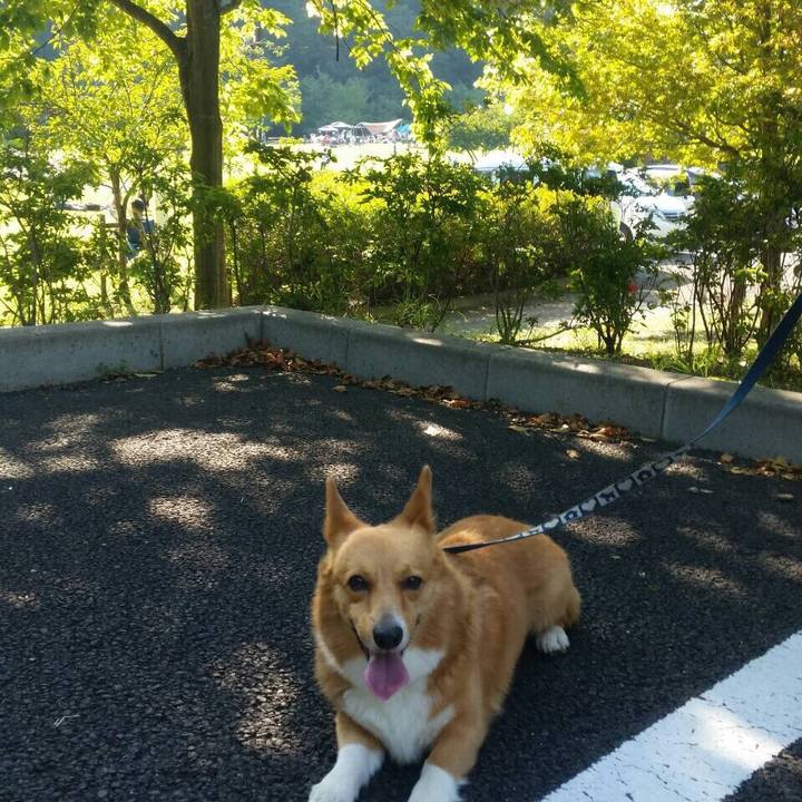 2df7900d 8fd4 4f86 b168 87b92c216568