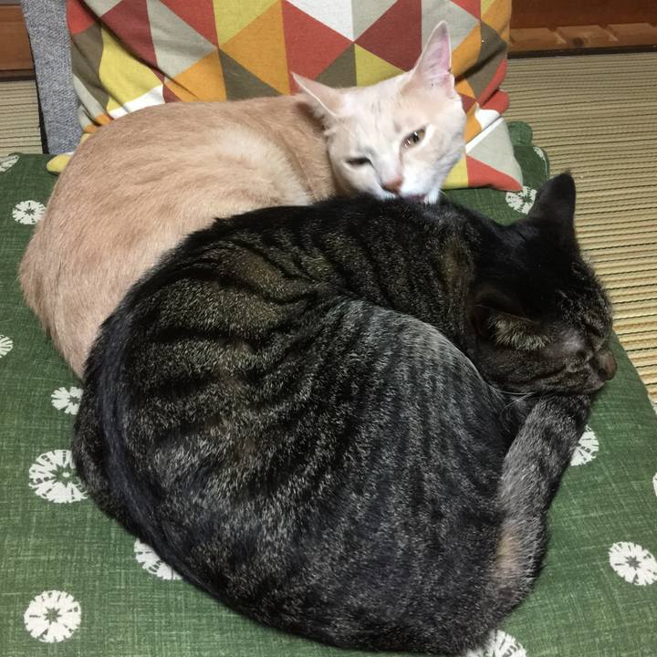 2df7b652 22a5 4b9b 9d2f cf9375e0da9b