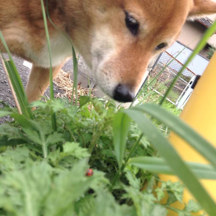 2df80577 ffa4 4d94 8626 9f019ed55fc9