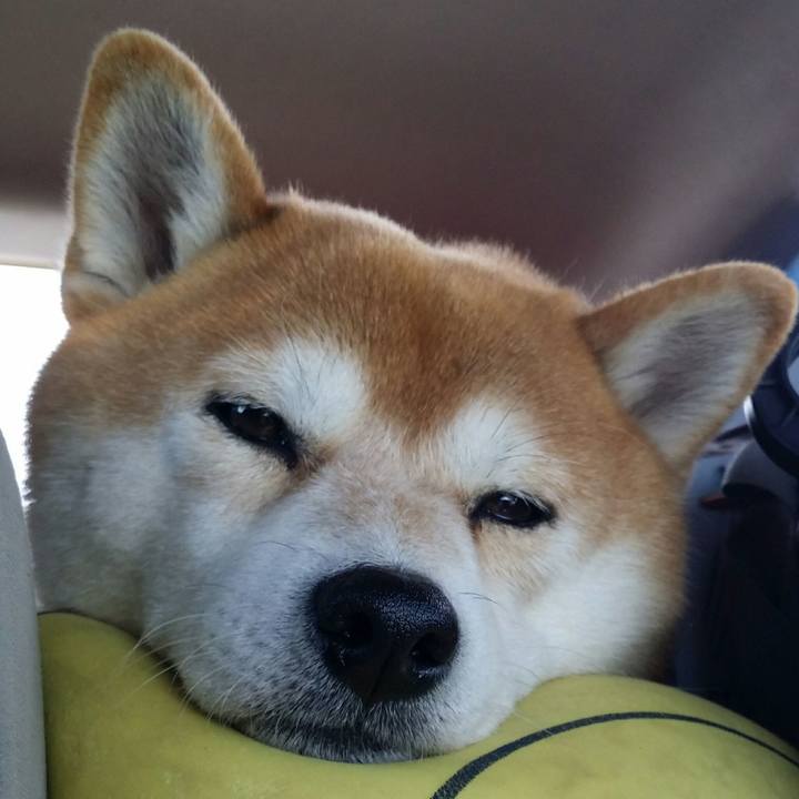 2df82591 8fee 4154 8566 00cea6c0f4bc