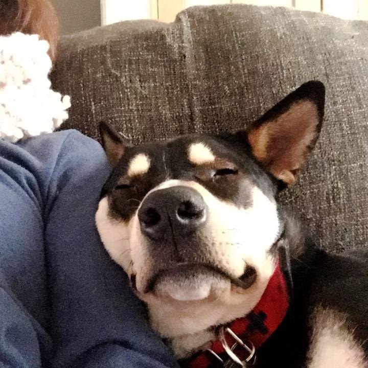 2df825ff aa14 4afc b54d 31d540ae81ef