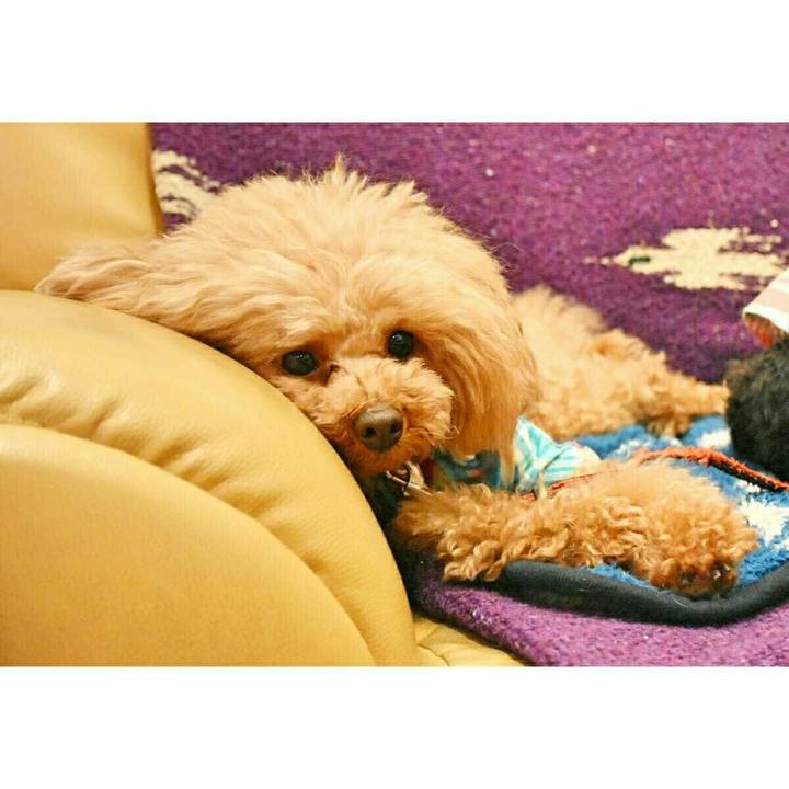 2df847b8 60be 4db4 b358 c9b3a217f643