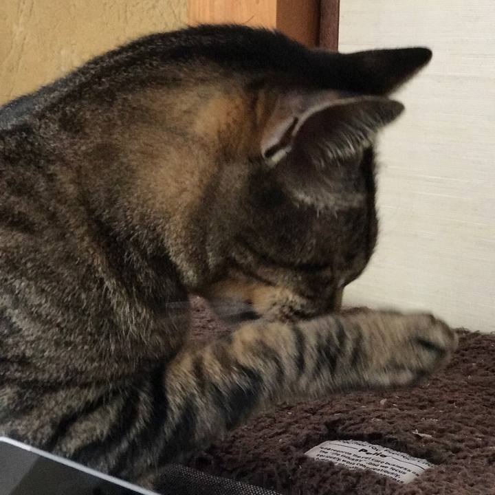 2df86724 af87 4277 a2e8 ddbf8df4c29c