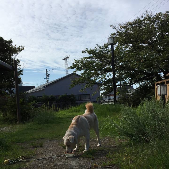 2df94487 e6f7 46d6 b99c 0fde5ff748c3