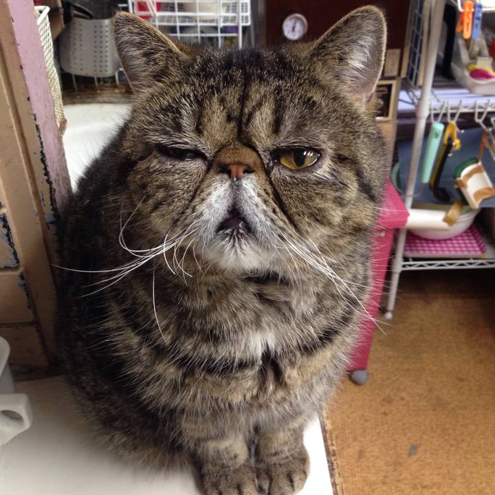 2df9c3af 4e62 41b7 bb13 91db292b051d