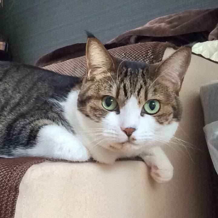 2df9d64c a692 4683 8956 4bb8b9801469