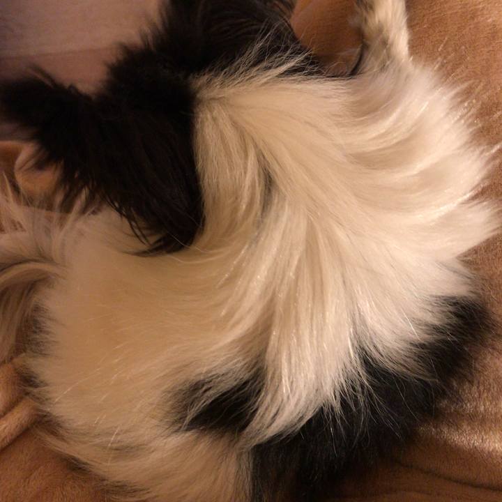 2dfa2c11 c99a 498f 8643 2028377a27f9