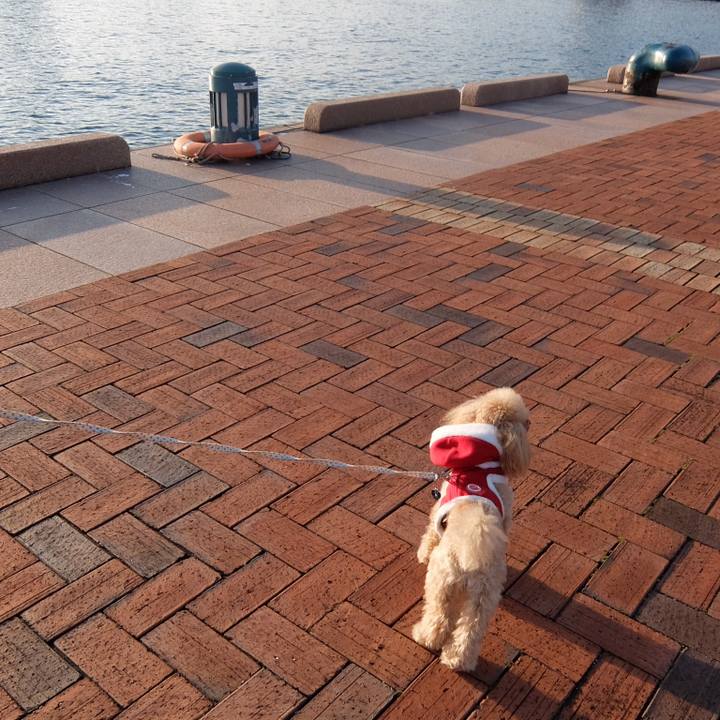 2dfa367d 1a85 4388 b384 2b4957cb8cbb