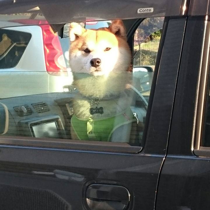 2dfa53d8 8eb8 457b bcdf 791efab6c8da