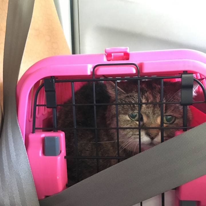 2dfb6b56 746d 405e a4de c94e41cc2e2d