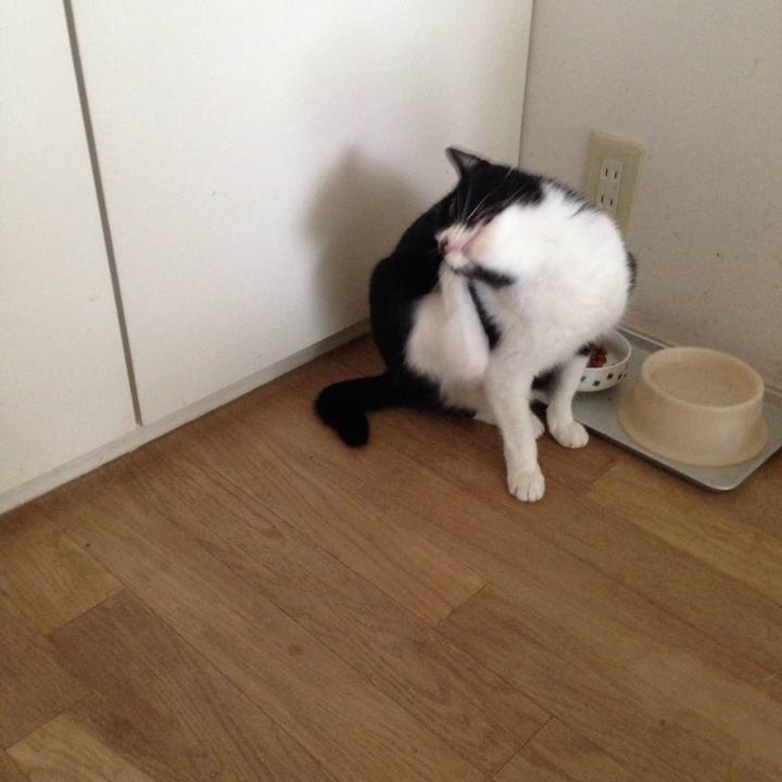 2dfbde58 f8ac 44c5 811e 84c60e1bd356