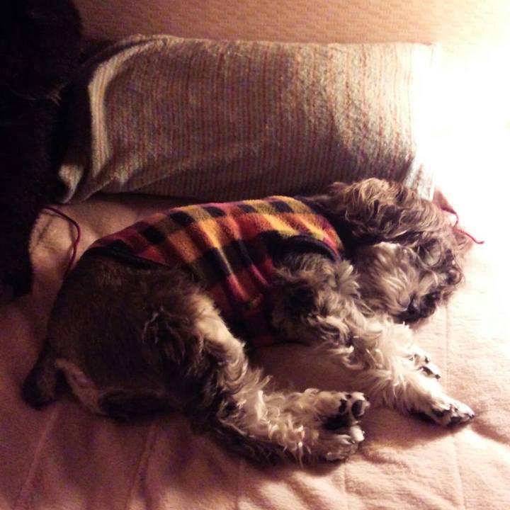 2dfc8e84 9e56 4fd4 aab4 efbddd201938