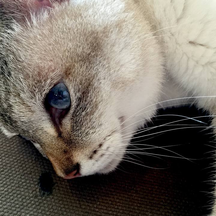 2dfd058f 1b3d 497e ab89 8f070a47bc68